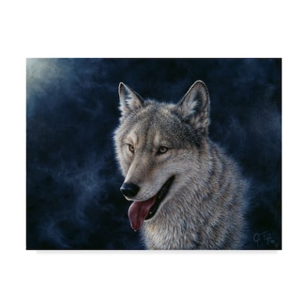 Jeff Tift 'Wolf' Canvas Art,24x32